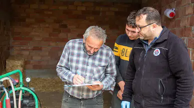 Merzifon’da Üretime 10 Gebe Düve Desteği