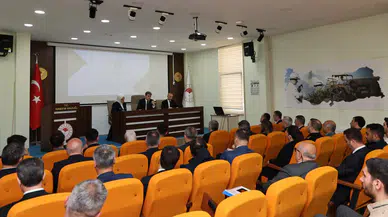 Amasya’da Sahipsiz Hayvanlar Masaya Yatırıldı