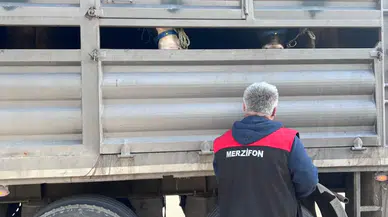 Merzifon’da Kurban Bayramı Öncesi Sıkı Denetim!