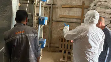 Amasya’da Kanatlı İşletmelerine Sıkı Denetim