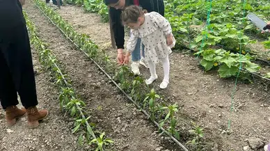 Merzifon’da Serada Uygulamalı Eğitim