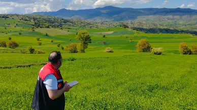 Amasya’da Yem Bitkisi Kontrolleri Sürüyor