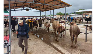 Hayvan Pazarında Bayram Umudu Devam Ediyor