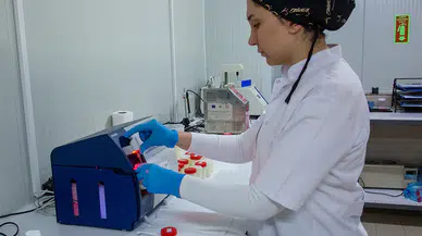 Amasya DSYB’den Titiz Analiz Süreci