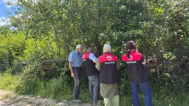 Taşova’da Kahverengi Kokarcaya Samuray Arılı Önlem