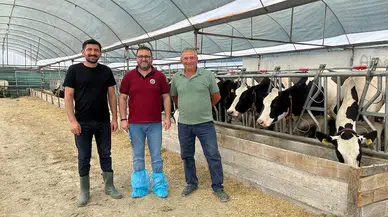Amasya'da Hayvancılığa Proje Desteği