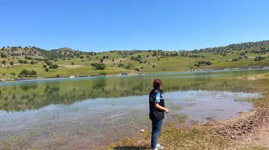 Taşova'da Kaçak Avcılığa Geçit Yok!