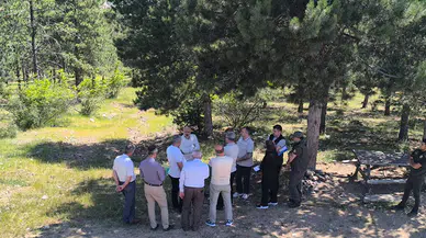 Hamamözü’ne Dev Mesire Alanı Geliyor!