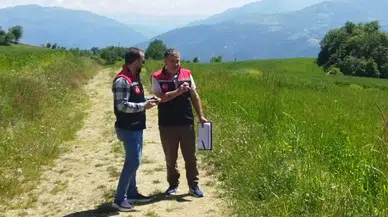 Taşova'da Tarım Alarmı! Sahaya İndiler