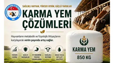Amasya DSYB’den Verimlilik Hamlesi