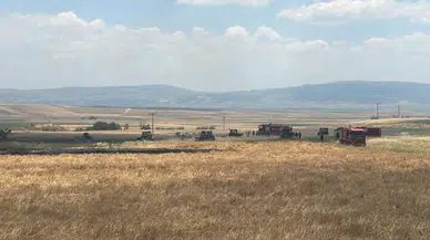 Merzifon’da Ekili Arazide Yangın Paniği! İtfaiye Faciayı Önledi
