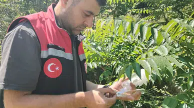 Amasya Tarımından Çevreci Mücadele Hamlesi