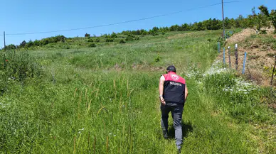 Suluova’da Üretim Sahada Takip Ediliyor
