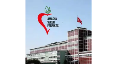 Amasya Şeker'den Büyük Sıçrama! İSO İkinci 500'de 302 Basamak Yükseldi