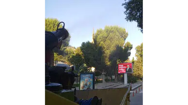 Amasya'da İlaçlama Seferberliği!