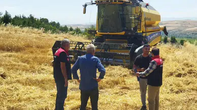 Taşova'da Dane Kayıplarına Karşı Tam Mesai