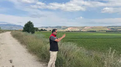 Suluova'da Tarım Arazileri Mercek Altında!