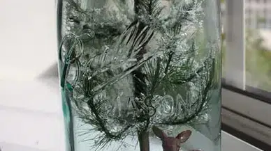 Evde Kar Küresi Yapımı Trendi Patladı! Dakikalar İçinde Kendi Kış Masalınızı Oluşturun
