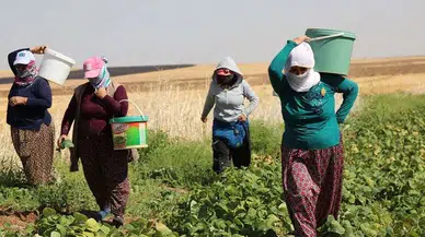 Merzifon’da Alın Terinin Bedeli Belli Oldu