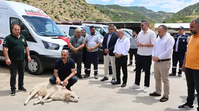 Amasya Belediyesi'nden 38,5 Milyonluk Güç Takviyesi