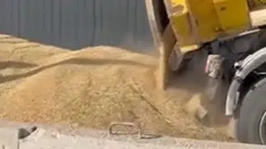 Amasya DSYB'den Yem Üretiminde Kalite Atağı