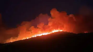 Ünlülerin Yazlıkları Yangının Ortasında Kaldı