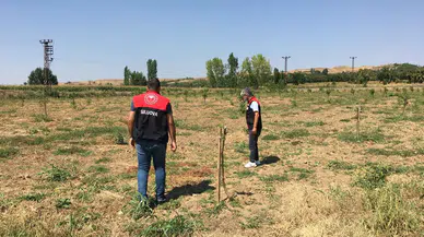 Suluova’da Tarım Arazileri Yakın Takipte!