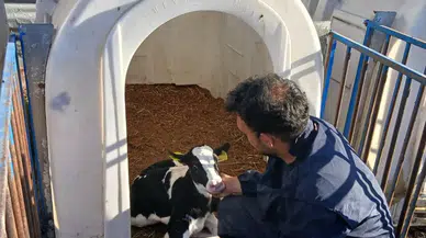 Amasya DSYB’den Anlık Kayıt Hamlesi!