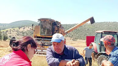 Merzifon’da Biçerdöverlere Sıkı Kontrol
