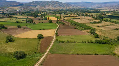 Amasya’da 1 Dönüm Tarla Kaç Para Oldu? İlçe İlçe Fiyatlar Şaşırtıyor!