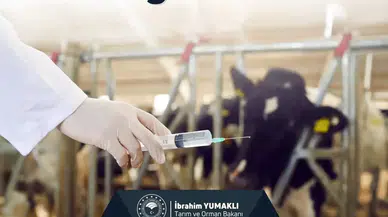 Çiftçilere 688 Milyon TL’lik Tarımsal Destek