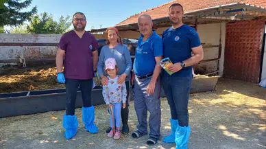 Amasya'da Üretici 10 Gebe Düveyle Üretime Güç Kattı! İşte Başarı Hikayesi