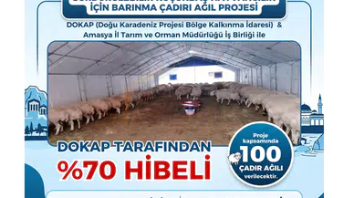 Amasya’da Üreticiye Müjde: Yüzde 70 Hibe!