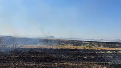Merzifon’da İtfaiye Alarmda: Bir Günde 13 Yangın İhbarı!