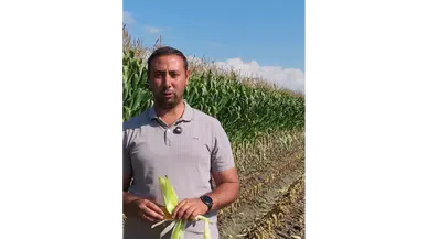 Amasya’da Mısır Silajı Mesaisi Başladı!