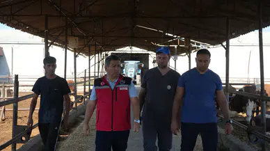 Amasya’da Hayvancılığa Sıkı Takip!