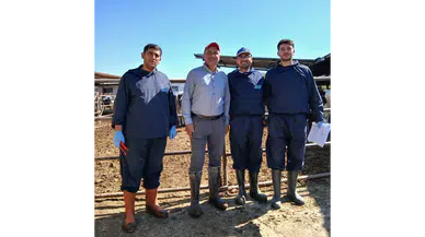 Amasya DSYB Köy Köy Sahada