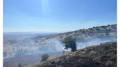 Merzifon’da Alevler İki Köyü Sardı!