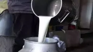 Sütte Yeni Tarife Resmen Açıklandı