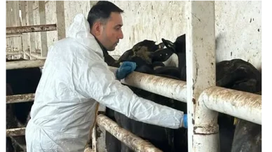 Suluova’da Hayvan Sağlığı İçin Titiz Çalışma