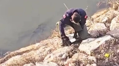 Amasya'da Yürek Isıtan Kurtarma