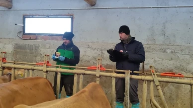 Suluova’da Hastalıksız Üretim Hedefi