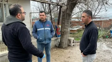 Merzifon’da Hayvancılığa Proje Destekli Güç