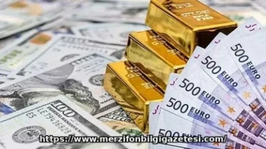25 Ocak 2026 Güncel Altın ve Döviz Fiyatları