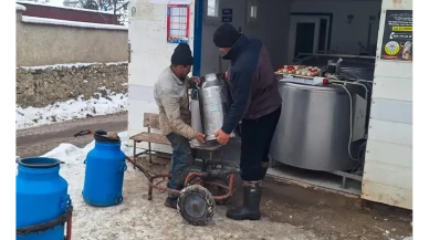 Amasya DSYB Gümüştepe’de Kaliteli Süt Üretimi