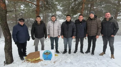 Merzifon Belediyesi’nden Hayvanlara Şefkat