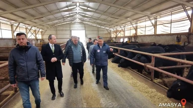 Amasya’da Hayvancılık ve Biyogaz Tesislerine Ziyaret