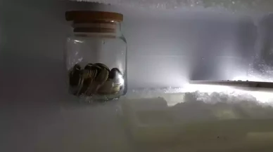 Buzdolabına Bozuk Para Koyun! Sonuç Şaşırtıcı!