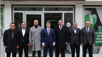 Amasya’da Pancar Mesaisi