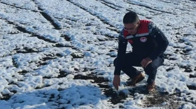 Amasya’da Erkenci Soğan Alarmı
